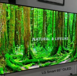 LG Smart 65” OLED 4K HDR TV (2018/19)
