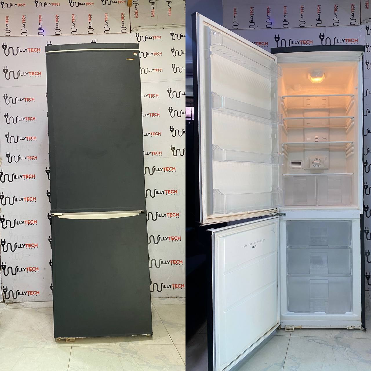 Samsung Energy Saver  300L Double Door Refrigerator