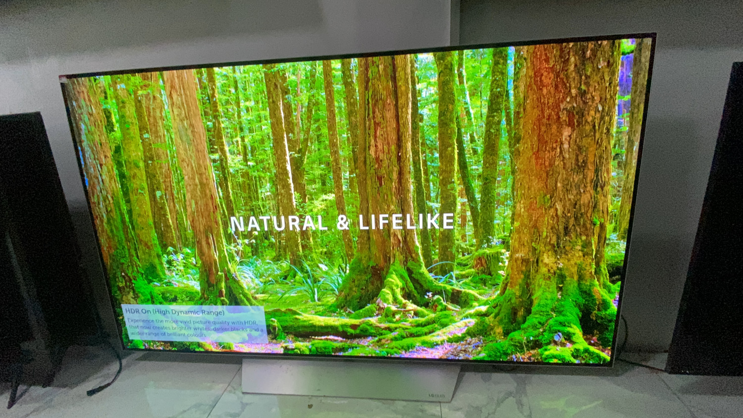 LG Smart 65” Frameless OLED 4K HDR TV (2020)